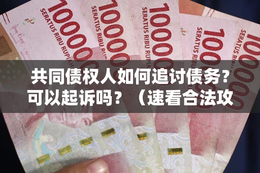济南共同债权人如何追讨债务？可以起诉吗？（速看合法攻略）